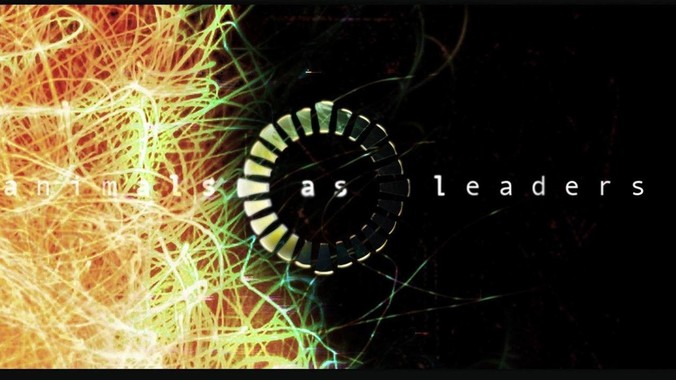 生活中怎样的美女才能被称为「大」美女？